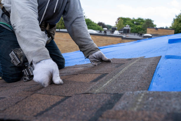 Quick and Trustworthy Emergency Roof Repair Services in Millersburg, OR